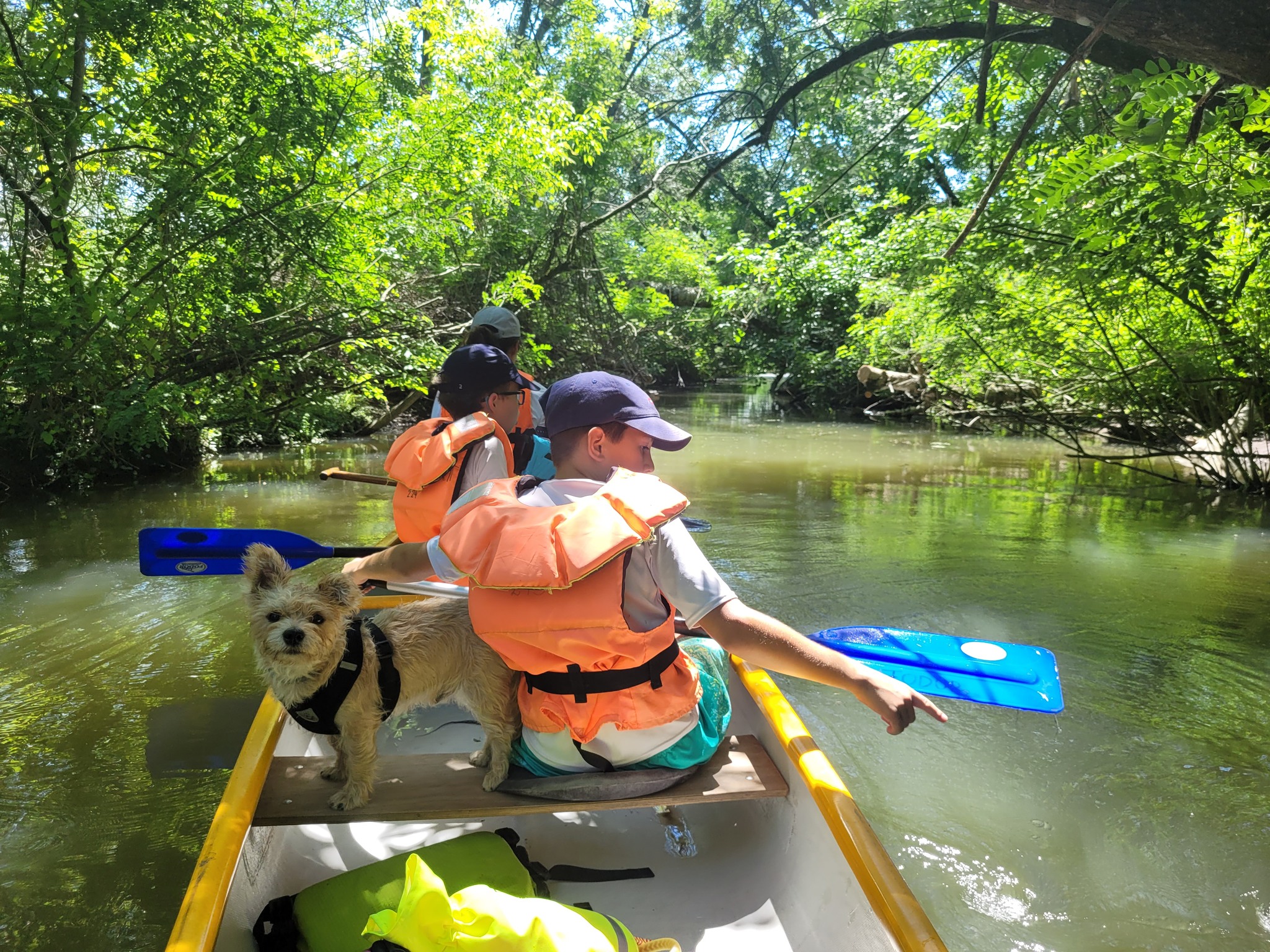 Családi túra a Tisza-tavon