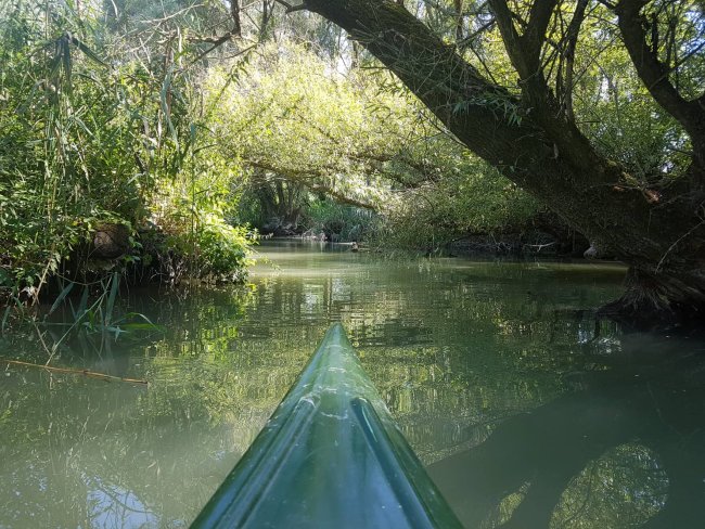 Egyetemisták vízitúrája a Tiszán és az Öreg-Túron